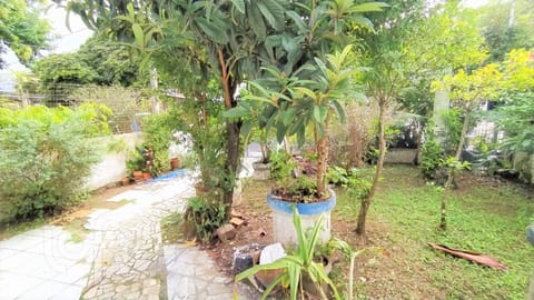 Image 1 - 240081